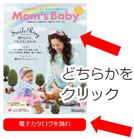 電子カタログの読み方
